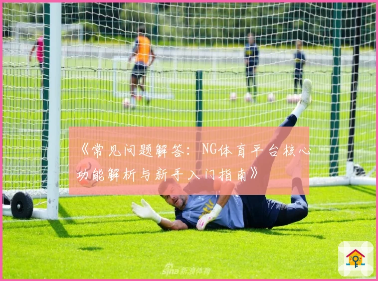 《常见问题解答：NG体育平台核心功能解析与新手入门指南》