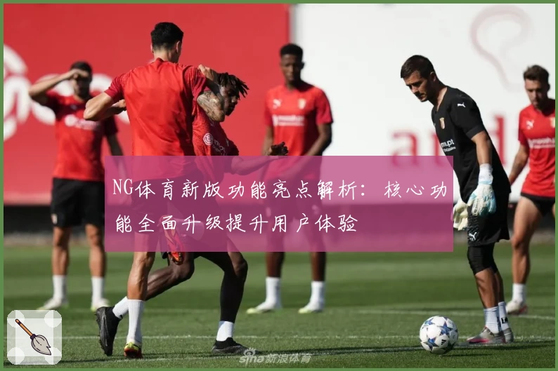 NG体育新版功能亮点解析：核心功能全面升级提升用户体验